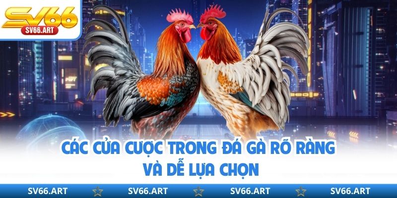 Các cửa cược trong đá gà rõ ràng và dễ lựa chọn